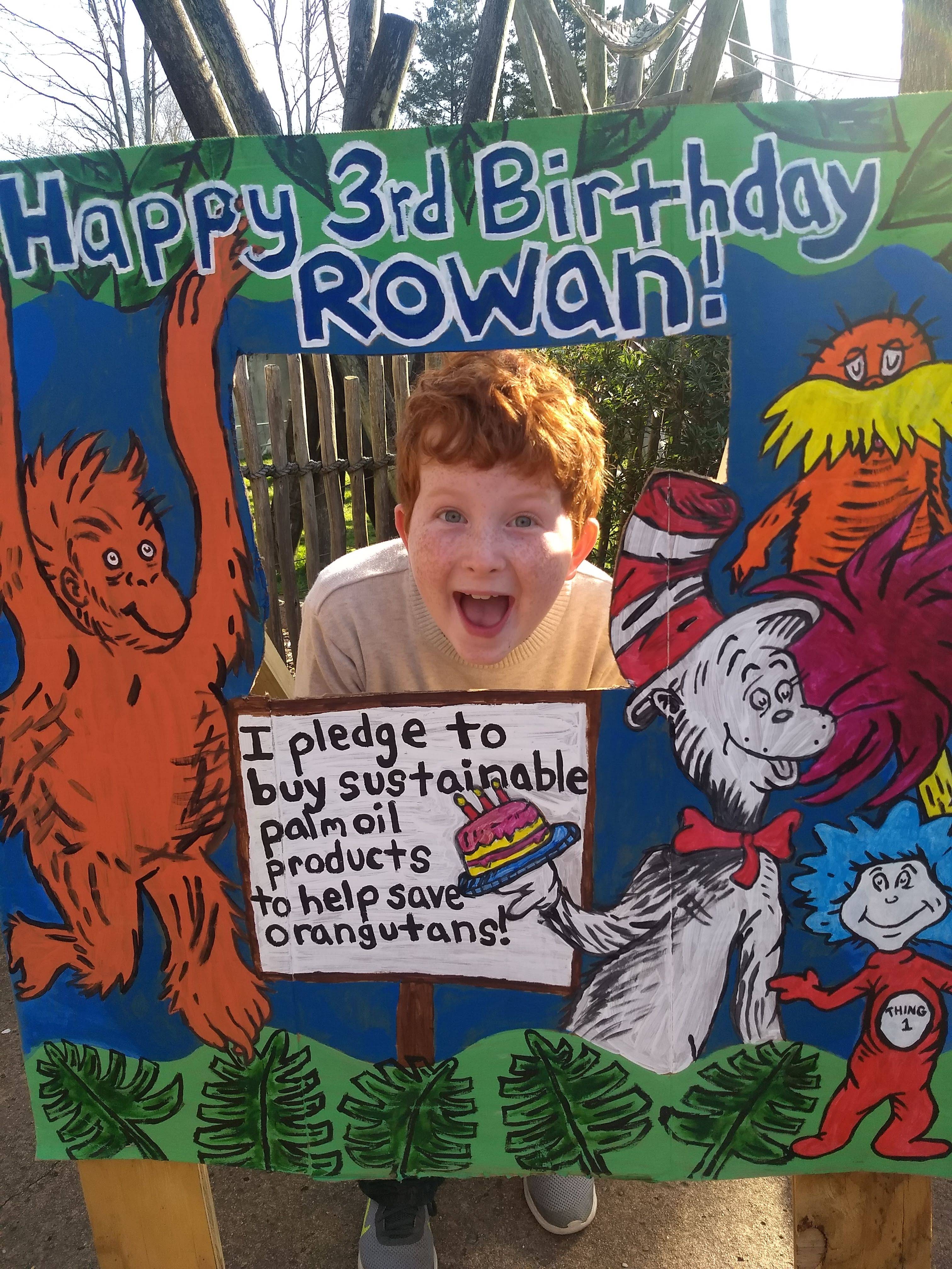 Rowan birthday party